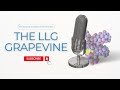 The LLG Grapevine 25/03/2024