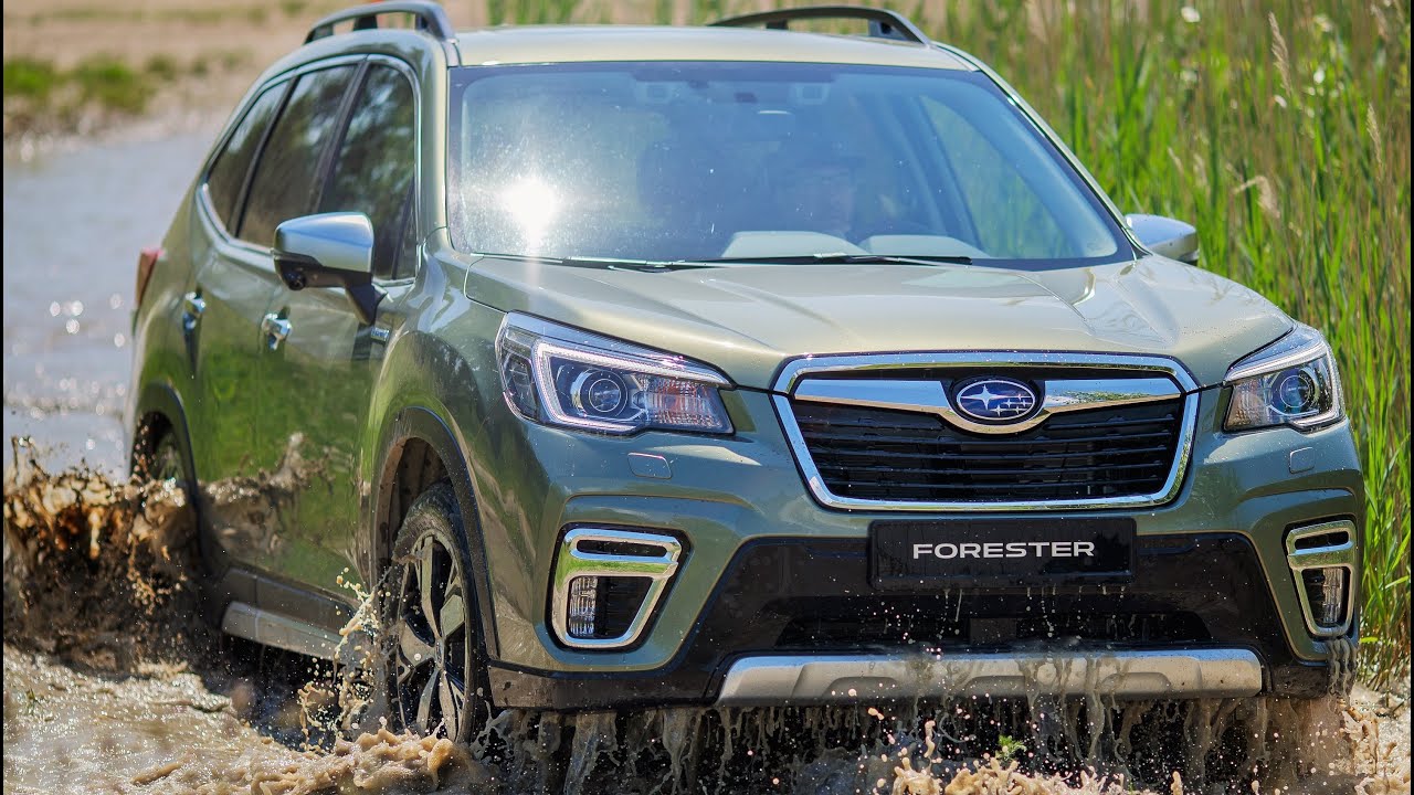 Subaru Forester 2020. Subaru Forester e-Boxer. Subaru Forester Hybrid 2019. Subaru Forester 2019 г. гибрид. Субару форестер гибрид