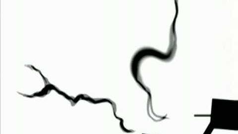 Abstract Motion 2 - Improvised Animation Directed By Sam Barnett