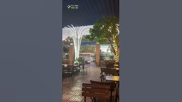 Quán Cà Phê Cá Koi | Cảnh Đẹp Miền Tây | Koi Fish Cafe | Cai Lay Tien Giang Vietnam #shorts