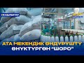 АТА МЕКЕНДИК ӨНДҮРҮШТҮ ӨНҮКТҮРГӨН “ШОРО”