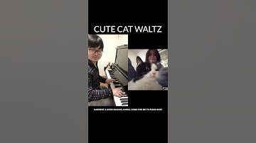 Piano Duet with Cat singing a Cute Waltz