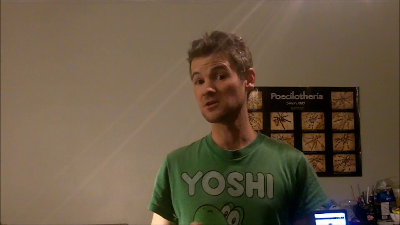 Tarantula Mythbuster Video 54 - Vid on the Kochiana brunnipes (Brazilian Dwarf Pink Leg)