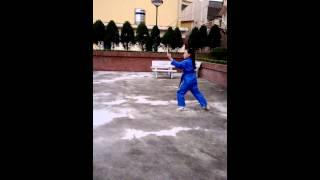 WP 20140326 002