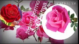 Hindi  Phool Gulab Ka  Beat Jhankar