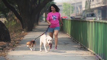 Multi-Function Leash Demo Video