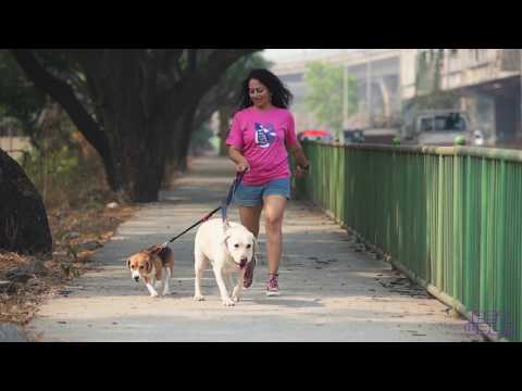 Multi-Function Leash Demo Video
