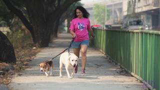Multi-Function Leash Demo Video