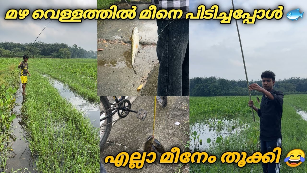 മഴ വെള്ളത്തിൽ ഒരു മീൻപിടുത്തം 🎣 Fully Entertainment ￼🙌😂