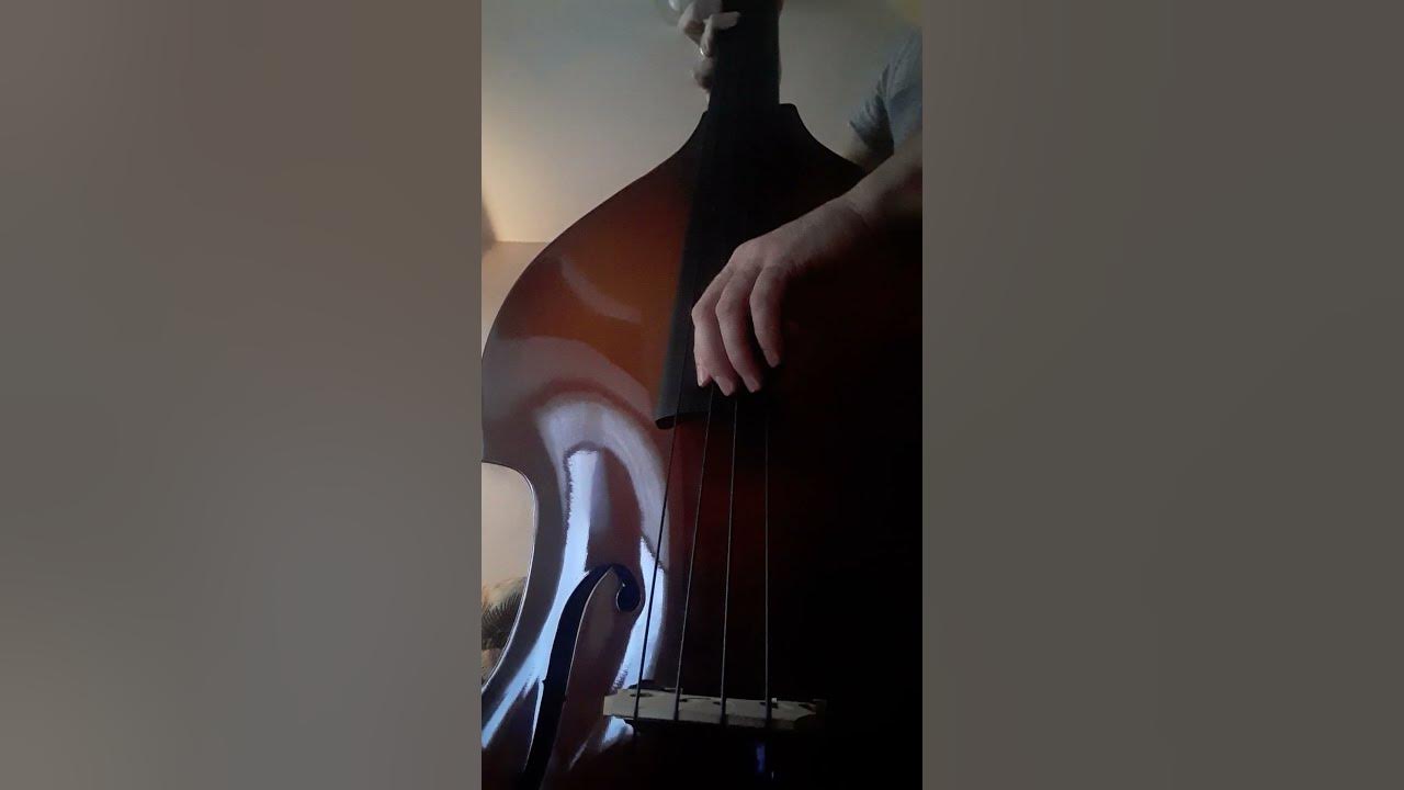 New 1/2 Size Bellafina Musicale Upright Bass with Innovation