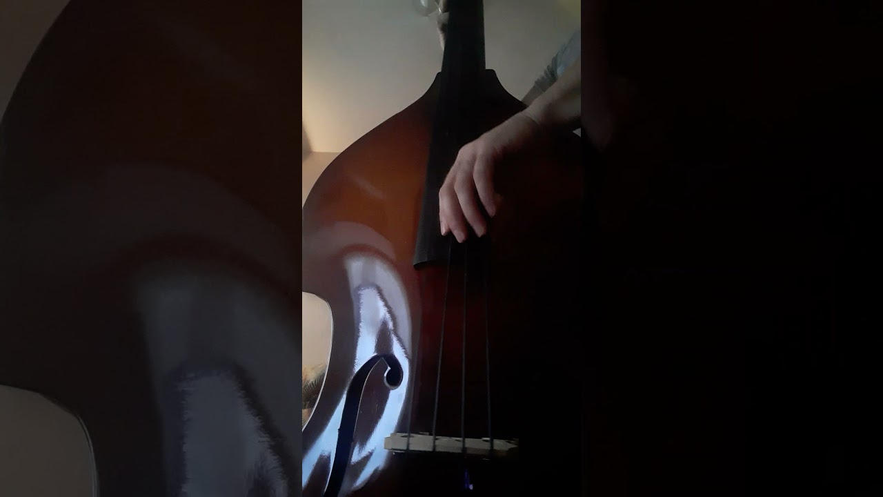 Innovation Rockabilly Upright Bass Strings