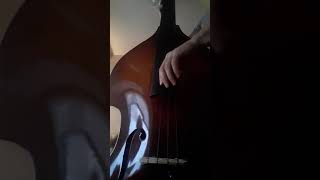 Innovation Rockabilly Upright Bass Strings