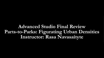 Final Review: Rasa Navasaityte, Advanced Design Studio Fall 2020