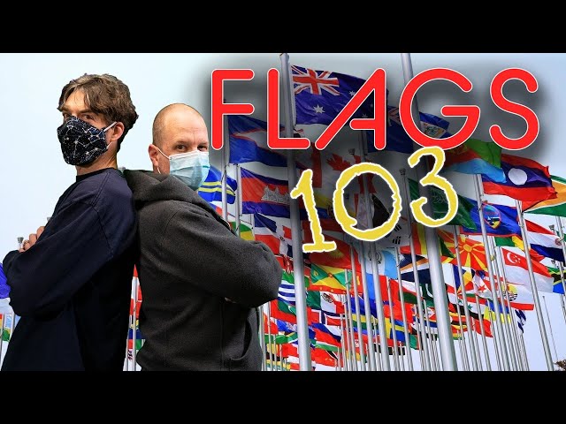 MDQL: Flags 103