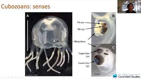 Bio-physical interactions can shape populations-Jo...