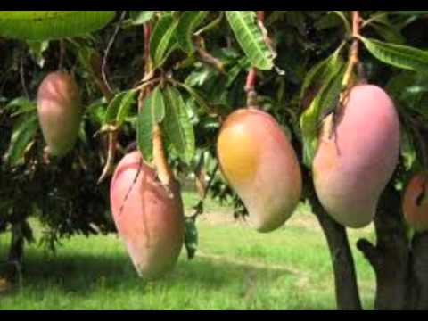 يا الحديثك شوقنا ليك