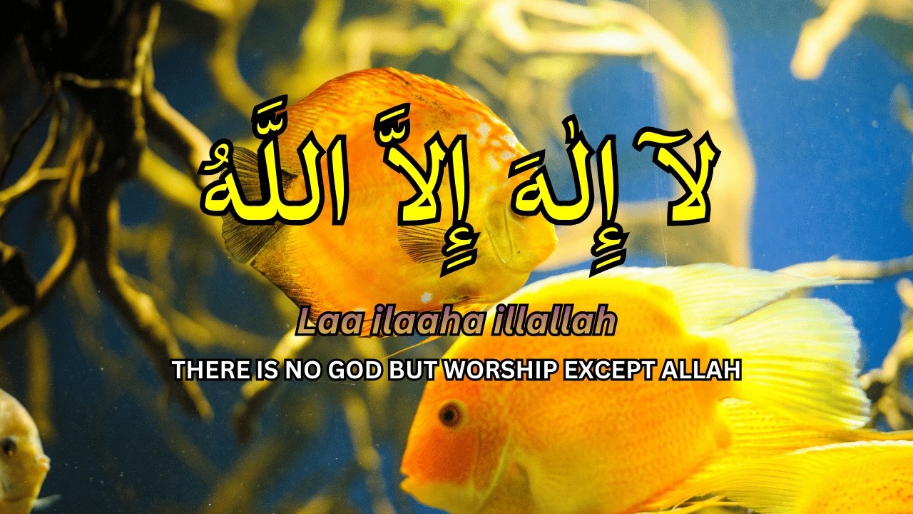 Daily Dzikir LAILAHAILLALLAH for Calm Awareness Practice