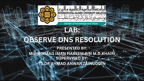 15.4.8 Lab - Observe DNS Resolution - ILM