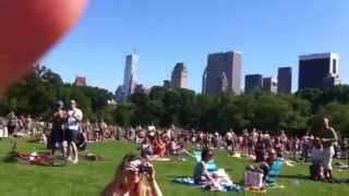 Central Park Skywriting Proposal