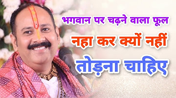भगवान पर चढ़ने वाला फूल नहा कर क्यों नहीं तोड़ना चाहिए || pradeep Mishra ji