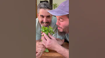 פטריות ממולאות נוסח בלקני ובנוסח ים תיכוני של מי יצא יותר טעים עדכנו אותנו של מרינה פטריות הגליל 