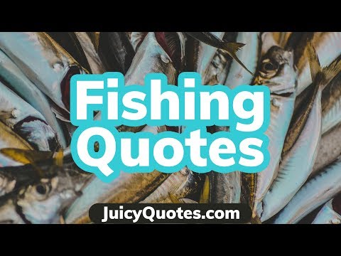 Video: Fishing Proverbs And Sayings