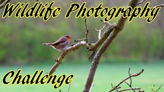 Wildlife Photography Challenge