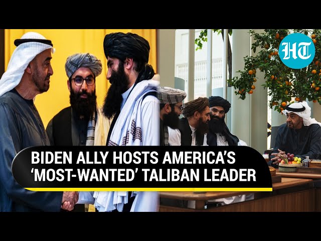 UAE’s Big Snub To Biden? MBZ Meets Taliban Leader Sirajuddin Haqqani After Putin Drops Big Hint class=