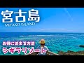 【宮古島】シギラリゾートコスパ最強ホテル！トップシーズンに1万円で泊まる方法♪ホテルブリーズベイマリーナ（沖縄/Okinawa/Miyakoisland/Japan） #7