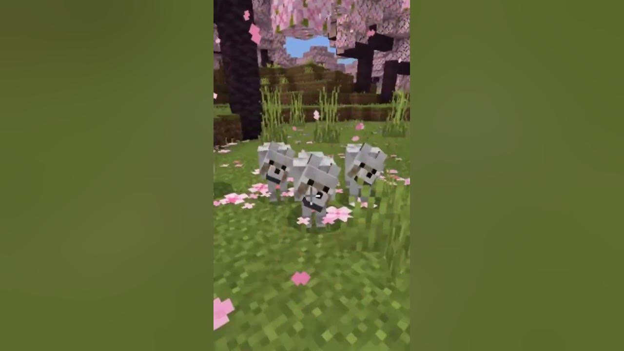 How every Minecraft player tames a pet 😂🔥 shorts minecraft YouTube