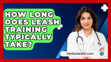 How Long Does Leash Training Typically Take? - PetGuide360.com
