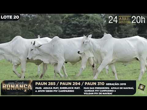 LOTE 20   PAUN 285,294,310