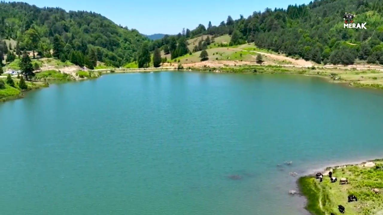 ACELLE YAYLASI Doğa 🌿 Göl ve Ağaçlarla Huzur Veren MANZARA