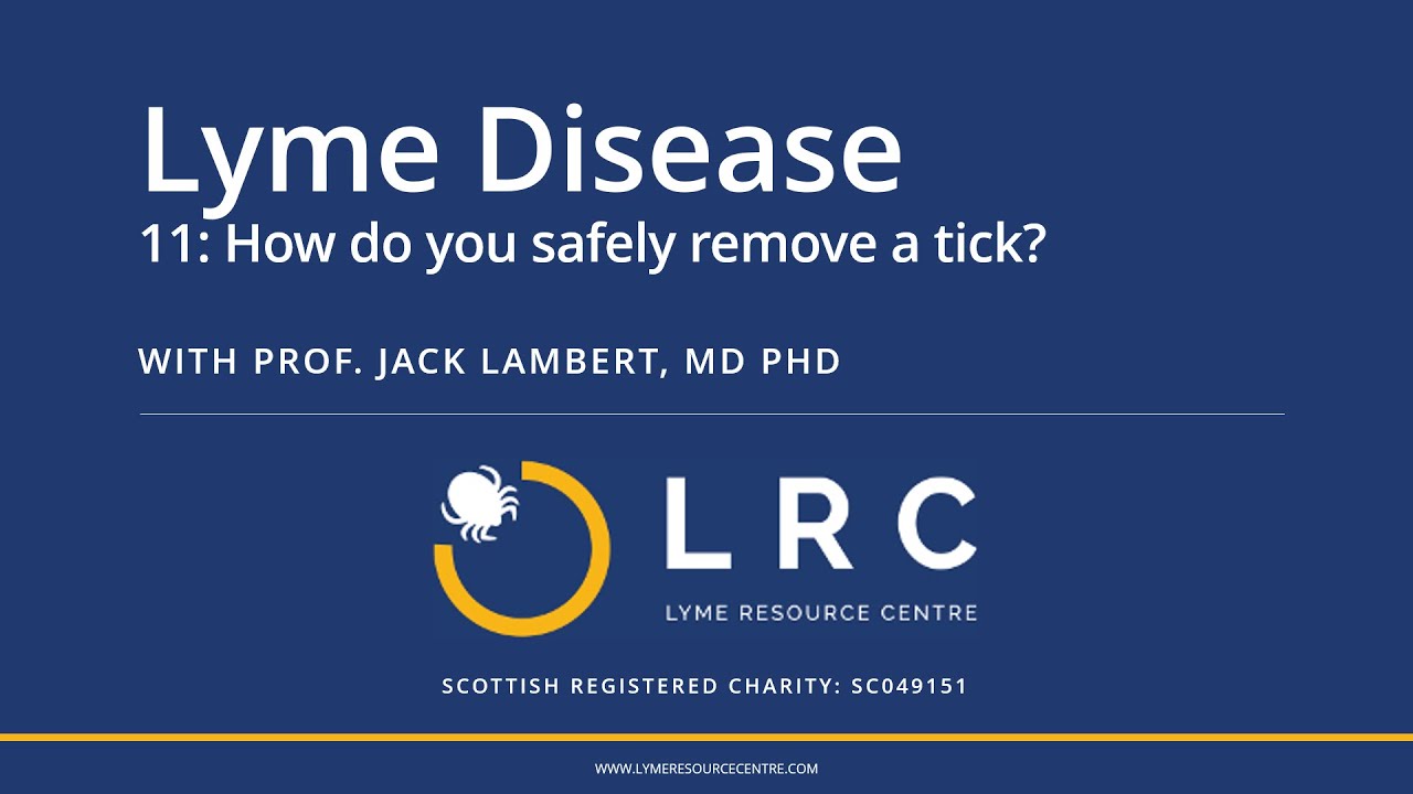 Lyme Disease - Small Bites for GPs 11: How do you safely remove a tick?