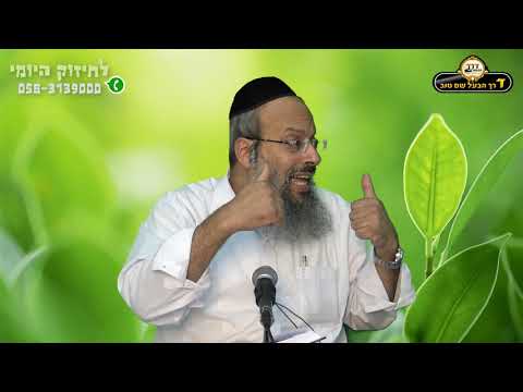 בן רוחני או בן גשמי | מהי ההשקעה הנכונה בילדים | הפנימיות של הילדים