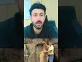 The Nephilim of the Bible | Nephilim a giant creation | methodada #ytshorts #shorts