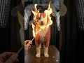 Cat🐈🐈🐈 #burn #fire #fun