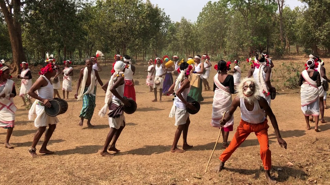 Ghotul Dance or Mandri Dance by Muria Tribe of Bastar Tribal Dance Indian Tribal Dance Dances