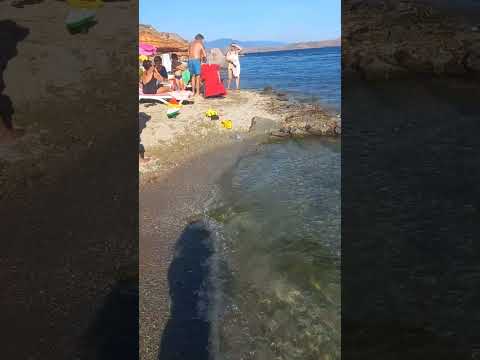 avşa adası yiğitler
