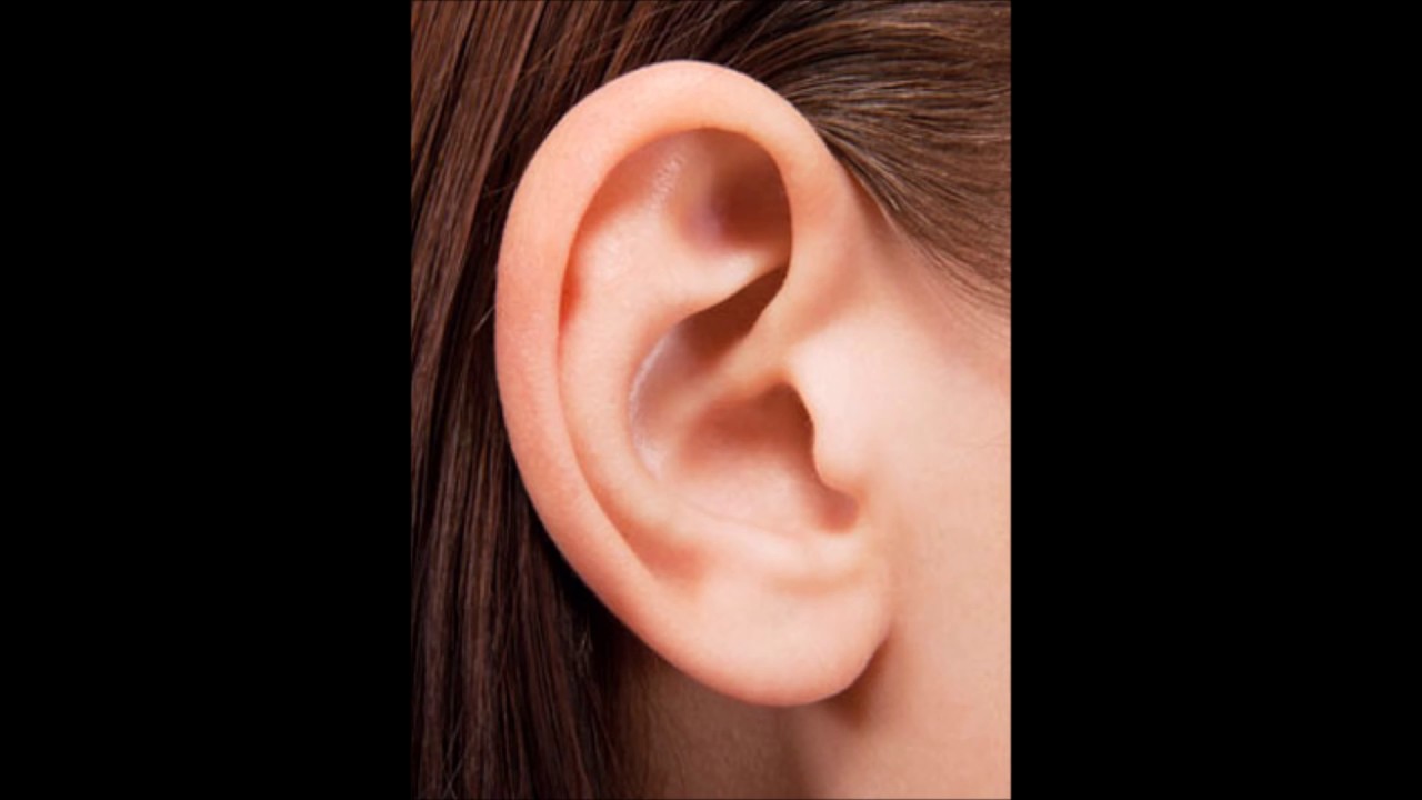 Hallelujah Chorus (EAR RAPE) YouTube