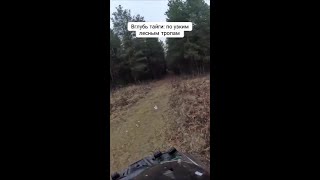 Погружение в дикую природу: экстремальный заезд по таежным тропам