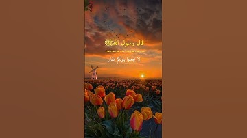 قال رسول الله ﷺ لا تجعلوا بيوتكم مقابر إن الشيطان يفر من البيت الذي تقرأ فيه سورة البقرة