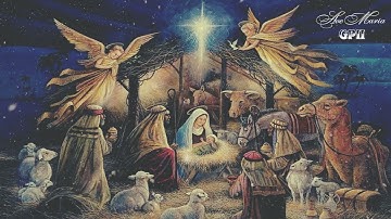 AVE MARIA | Liam Lawton - Nguyễn Bách - Đan Minh Sơn | Ca đoàn Gioan Phaolo II