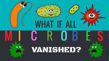 WHAT IF ALL MICROORGANISMS IN THE WORLD DISAPPEARED?