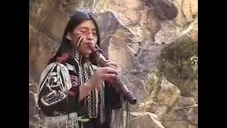 Wuauquikuna Mohicans