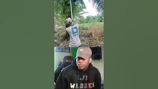 lucu.panen sawit kocak#shorts