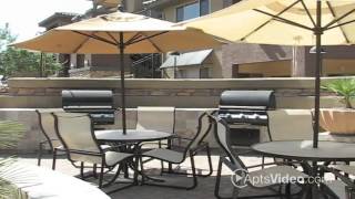 Painted Trails Apartments in Gilbert, AZ - ForRent.com