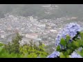 アジサイの丘（牛原山町民の森）