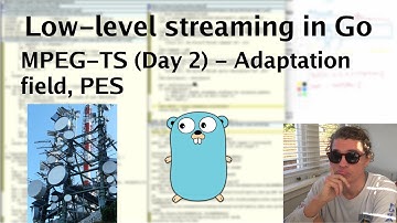 Low-level streaming in Go: MPEG-TS (Day 2) - Adaptation field and PES