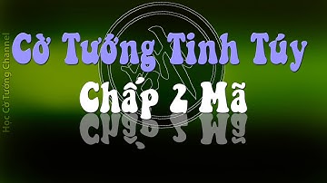 Cờ Tướng Học 14 Tuyệt Chiêu Chấp 2 Mã Hay Nhất
